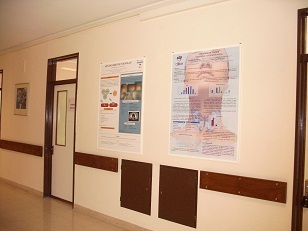 expo posteres cir2