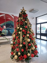 natal1