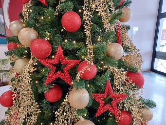 natal2