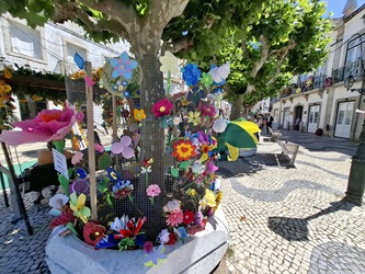 festa flor caminhada3