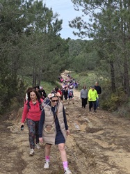 caminhada senologia2