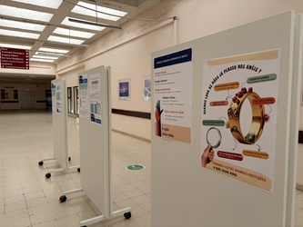 dia maos2