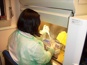 laboratorio2